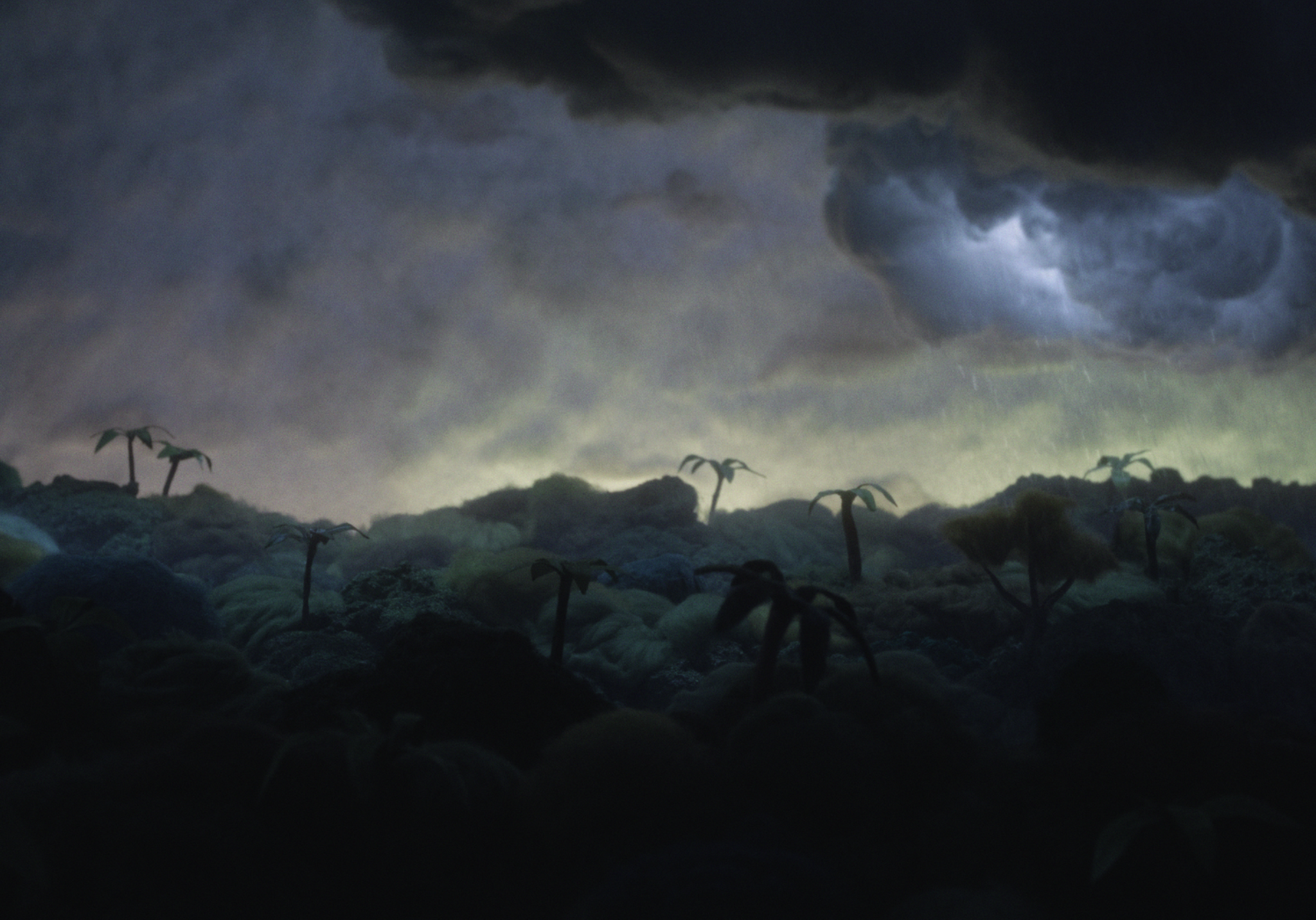 2 ICE CREAMS PLEASE Jasmine Elsen  - Animal Tank Ozù Productions